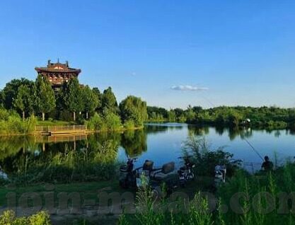 91av麻豆-探索网络世界的多元化与挑战，以91av麻豆为例