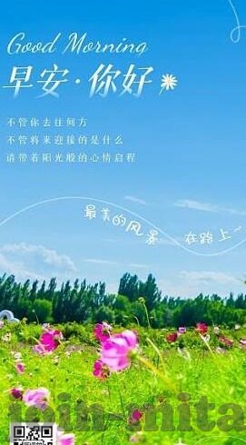 大象传媒下载安装-探索大象传媒下载安装的便捷与魅力