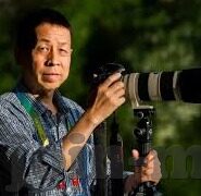 尻人妻-尻人妻，传统与现代伦理的交织