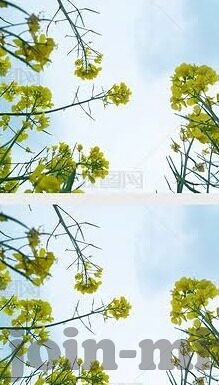 麻豆传媒之国产app-规范网络环境，理性审视麻豆传媒之国产APP现象