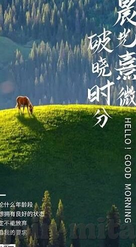 麻豆精品传媒app-浅谈麻豆精品传媒App在数字媒体时代的角色与影响