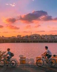 欧美成人在线免费视频-欧美成人在线免费视频，探索网络世界的多元娱乐