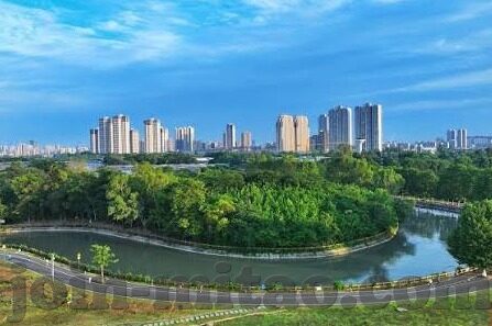 日韩国产av一区-日韩AV一区，文化、艺术与市场视角的深度剖析