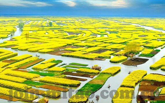 日韩欧美一区二区-探索全球文化与娱乐的多元视角，日韩、欧美一区二区的独特魅力