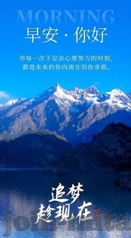 糖心app排行-糖心应用，人气与评价的双重探索