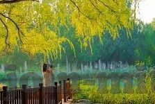 致命弯道4中文字幕-致命弯道4，生存边缘的绝望与挣扎